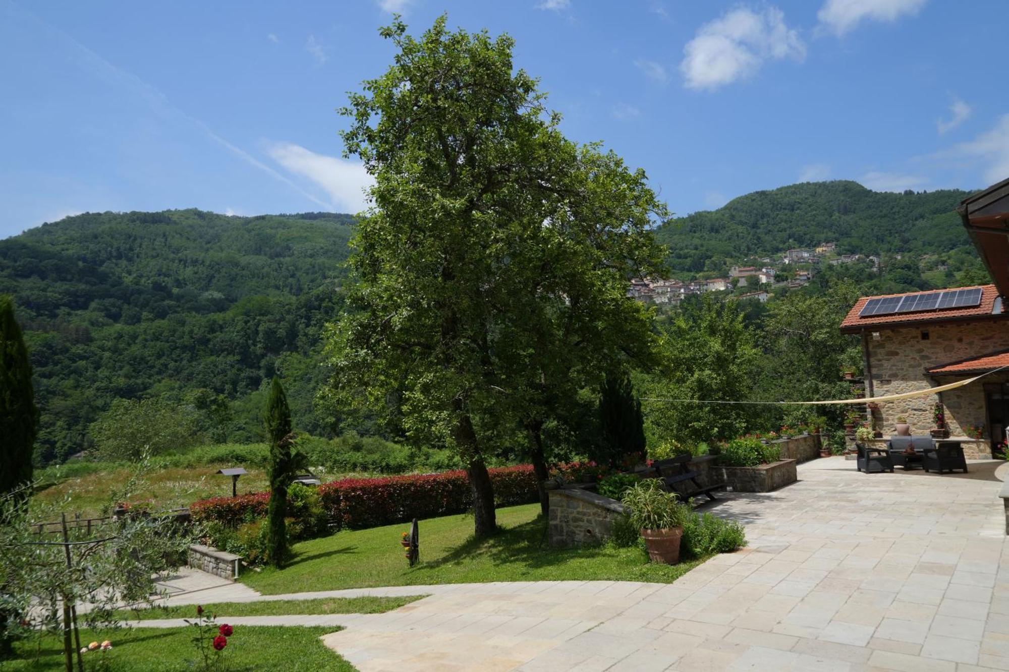 Il Paradiso Delle Beccacce Popiglio ภายนอก รูปภาพ